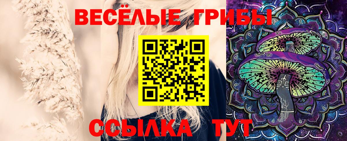 Псилоцибиновые грибы прущие грибы  хочу   Мичуринск  Вход с VPN  Псилоцибиновые грибы Cubensis 